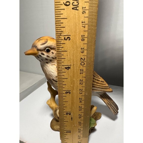 Mistle Thrush Bird Figurine by Maruri Lovely 5 inch READ - Picture 7 of 7